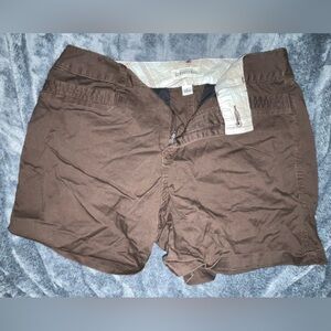 St. John Bay Brown Shorts